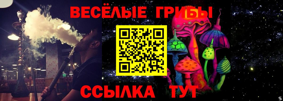 Липецк  Галлюциногенные грибы Psilocybe  Вход с VPN 